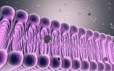 EVolution Therapeutics Involved in Inaugural Midlands EV Network Event